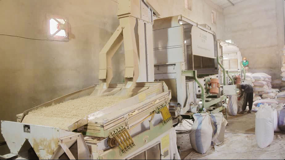 https://baziagro.com/wp-content/uploads/2026/08/img1.jpg
