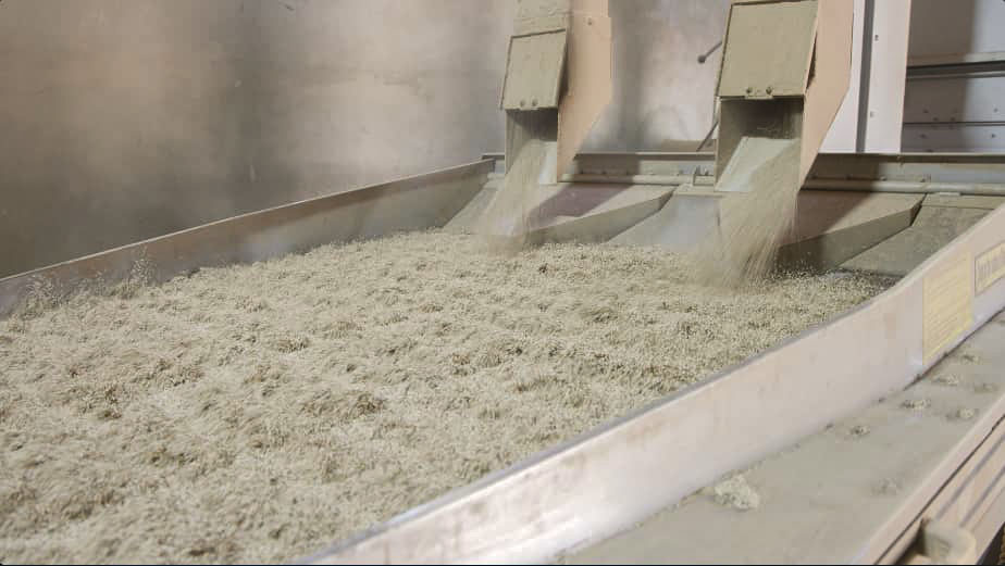https://baziagro.com/wp-content/uploads/2026/08/img6.jpg